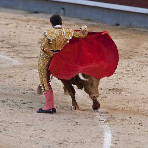 ES-Corrida 2010 8215w (512x512, 91Kb)