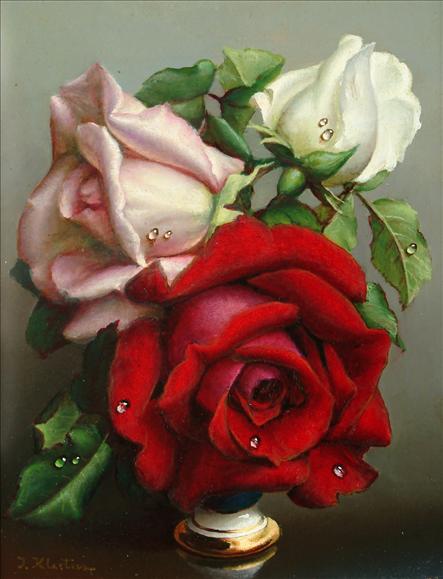 Red, pink and white roses Roses and dew (443x579, 34Kb)