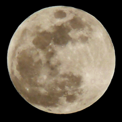 3869930_250pxMoon_eclipse2 (250x250, 354Kb)