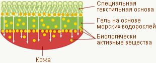 1323508812_dcwkmvuun_yajpnrf (310x126, 11Kb)