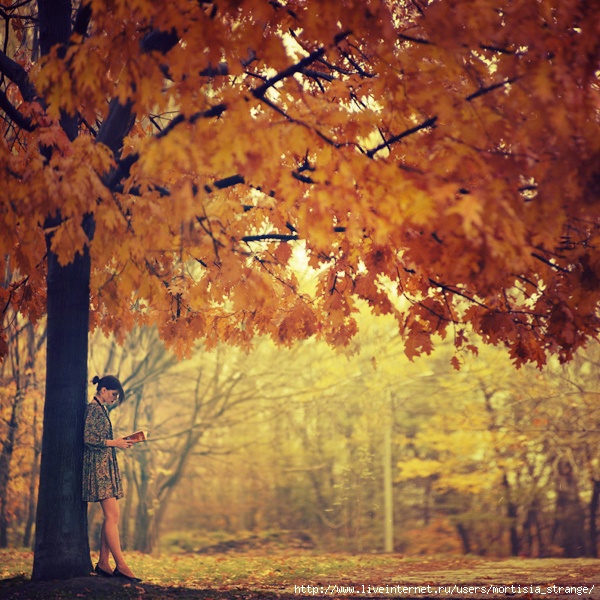 2d07837b62eb8c1d0f97f2f7bb09e956_03_03_2009_0787701001236108283_oprisco (600x600, 292Kb)