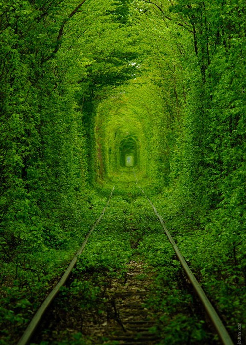 2 (498x700, 184Kb)