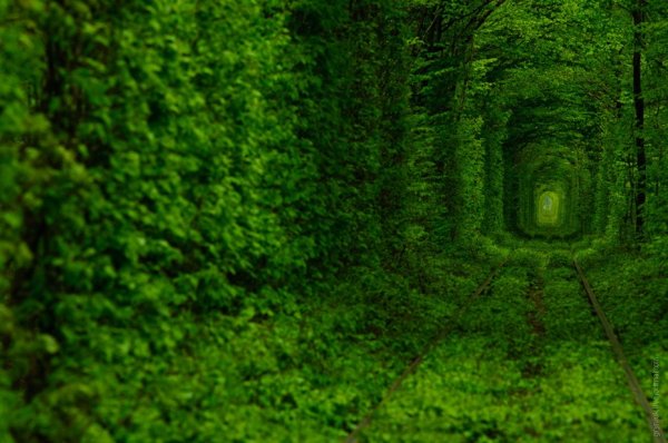 4 (600x398, 58Kb)