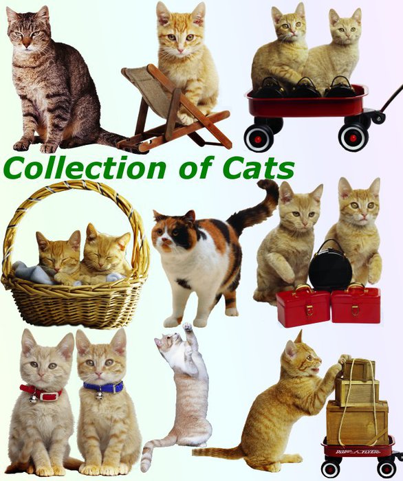 3291761_01Collection_of_Cats (586x700, 98Kb)