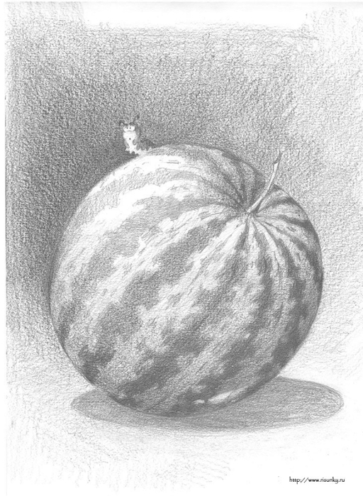 mellon (512x700, 255Kb)