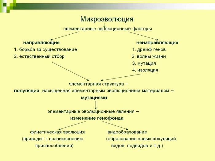 Схема мутагенные факторы