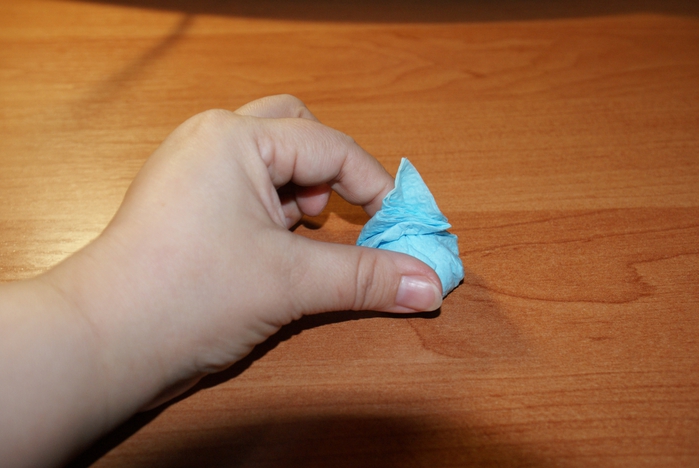 4038410_DSC04547 (700x468, 198Kb)