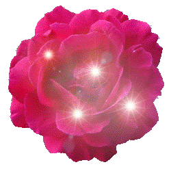 rose-bliz (250x247, 80Kb)