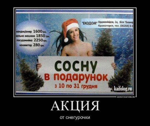 1324447805_0_1 (500x422, 45Kb)