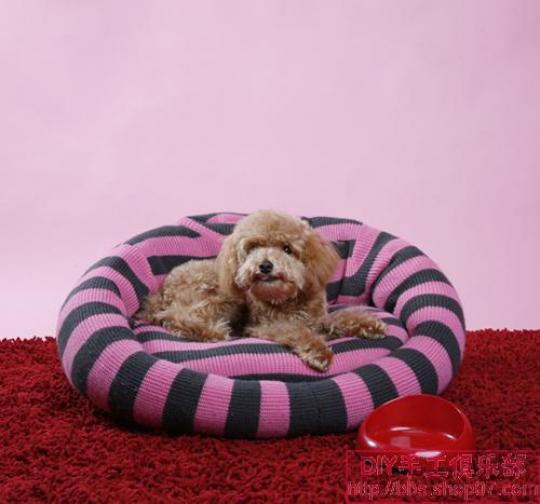 Лежак для собаки из старого свитера хозяина - YouTube | Свитер, Старый свитер, Магазины одежды