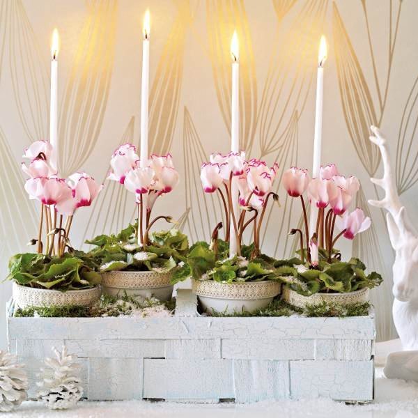 home-flowers-in-new-year-decorating2-1 (600x600, 60Kb)