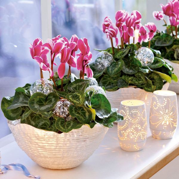 home-flowers-in-new-year-decorating2-3 (600x600, 71Kb)