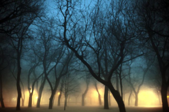 fog_10 (700x467, 46Kb)