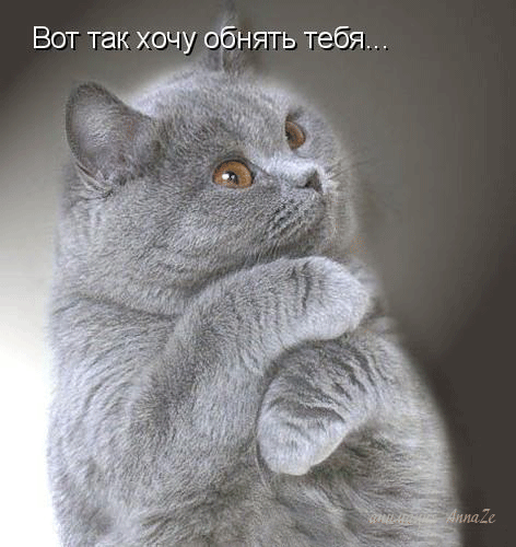 78173608_yeto_tyopluye_slova6777899 (472x500, 192Kb)