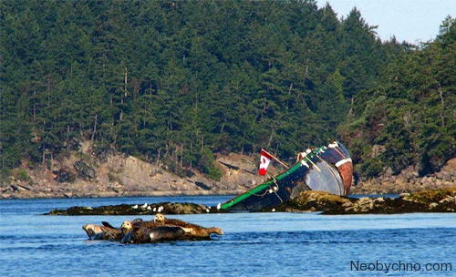03-british-columbia (500x304, 40Kb)