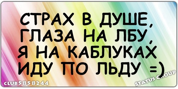 http://img1.liveinternet.ru/images/attach/c/4/81/541/81541977_x_32a1e07a.jpg