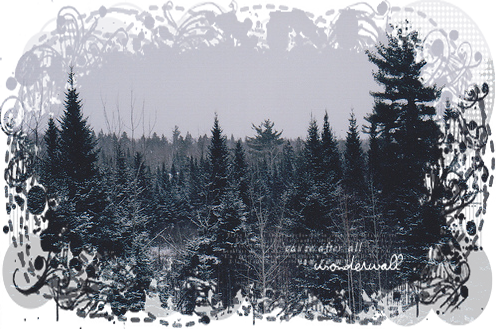 1325179761_81235862_3259274_tumblr_lw6ke0ImLR1qzl8o4o1_500_large (496x329, 422Kb)