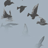 1325182505_avatar (100x100, 17Kb)