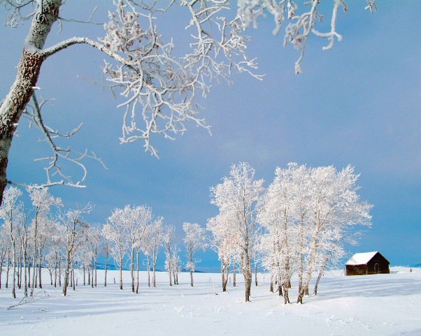 winter_foto (602x481, 113Kb)