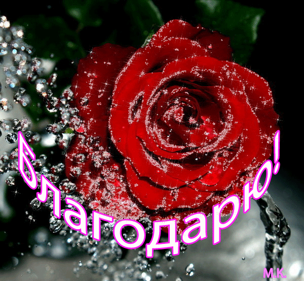 62700727_BLAGODARYU_s_rozoy (600x553, 408Kb)
