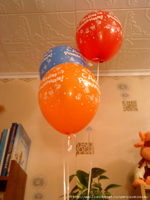 DSC05103 (525x700, 235Kb)