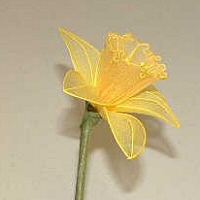 daffodil_2 (200x200, 39Kb)
