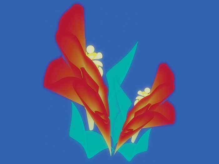 REDfLOWERS (700x525, 122Kb)