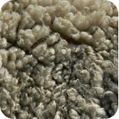 4079200_wool3 (170x170, 69Kb)