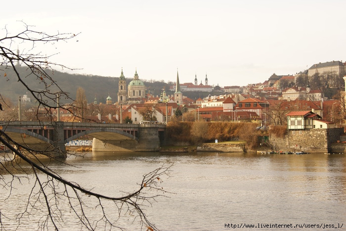 DSC01802 (700x468, 224Kb)