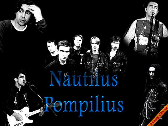 82153389_Nautilus_Pompilius.jpg