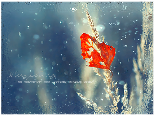 Winter_leaf__4 (531x400, 372Kb)