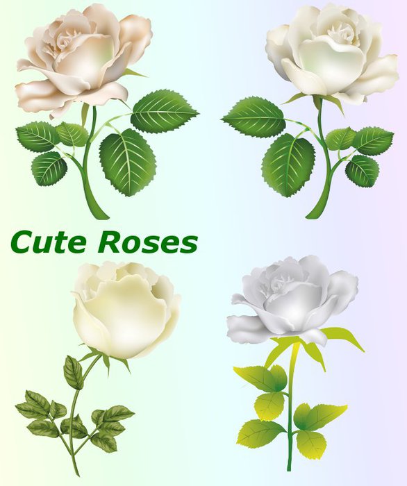 3291761_01Cute_Roses (586x700, 56Kb)