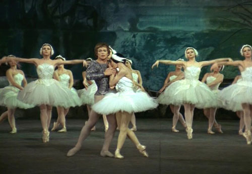swan_lake_10040 (500x346, 34Kb)