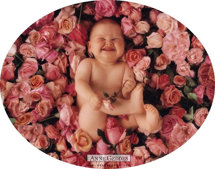 anne_geddes_104 (700x549, 72Kb)