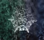  beautiful_snowflakes_20 (700x646, 83Kb)