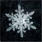  beautiful_snowflakes_44 (700x688, 84Kb)