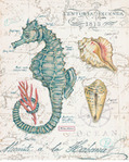  chad-barrett-centuria-seahorse (359x450, 74Kb)