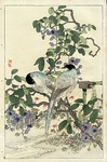  Bairei Flower and Bird Prints 1899 2 (264x400, 46Kb)