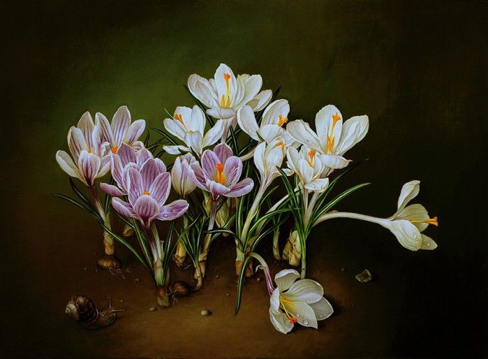 PURPLE AND WHITE CROCUS PLANTS 33x46 cms Oil on canvas 1997 (700x514, 78Kb)