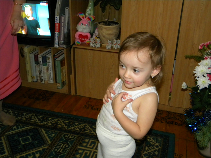 DSCN3642 (700x525, 417Kb)