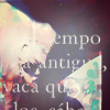 6 (100x100, 23Kb)