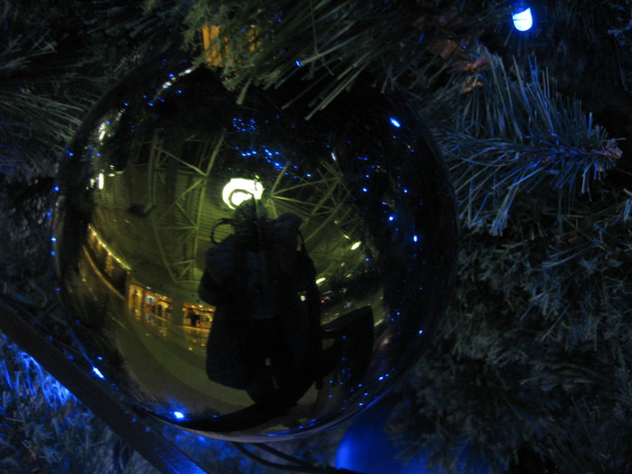 IMG_5346 (700x525, 93Kb)