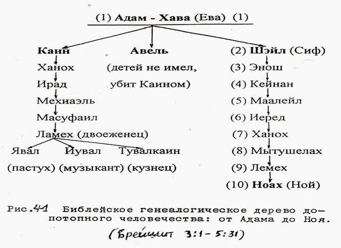 Родословная христа схема