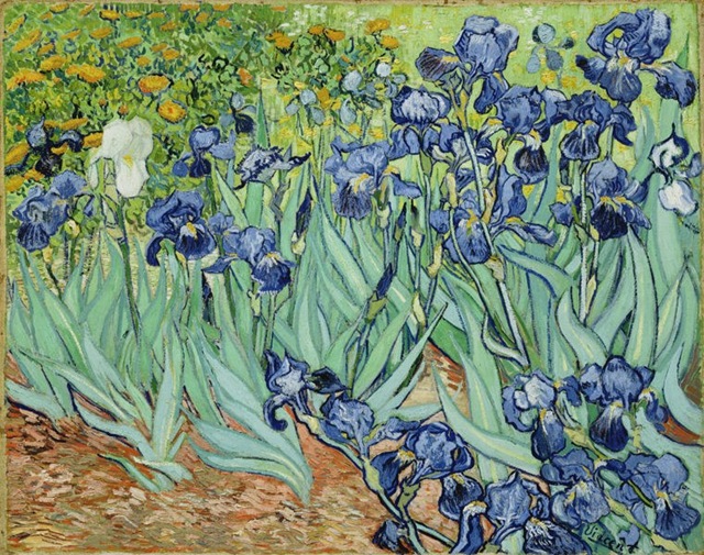 Irises_3 (640x505, 188Kb)