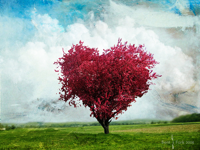 the_love_tree_by_isdelth (700x525, 178Kb)