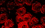  red-rose-lady-glitter (640x400, 374Kb)