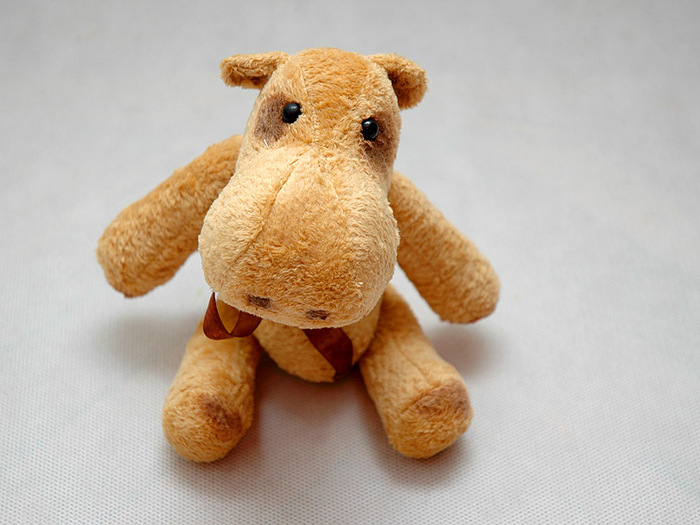 DSC_5278 (700x525, 109Kb)