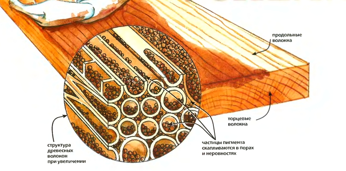 1327089157_1 (699x346, 174Kb)