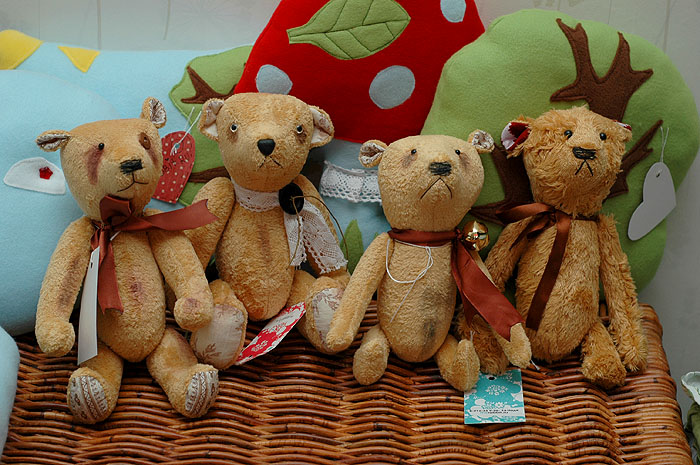 DSC_5696 (700x465, 145Kb)