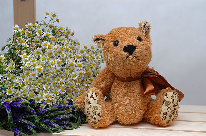 DSC_8109 (700x465, 153Kb)